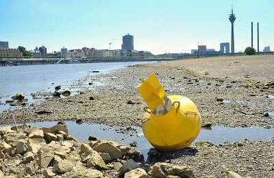 Klimarisiko-Niedrigwasserpegel-Rhein